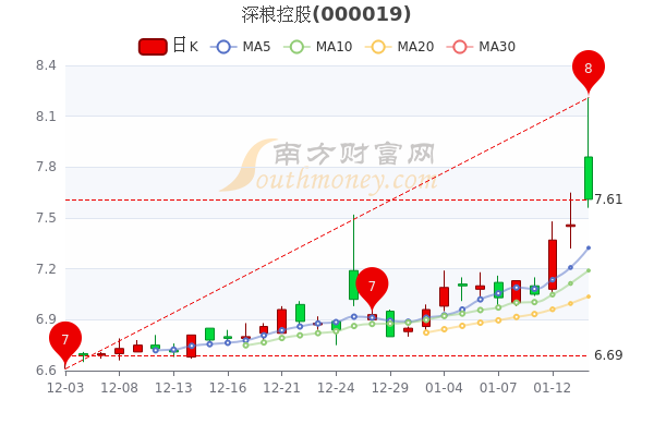 深粮控股1月14日超大单净流入6209.14万,成交额达4.5亿 深粮控股1月14日超大单净流入6209.14万,成交额达4.5亿