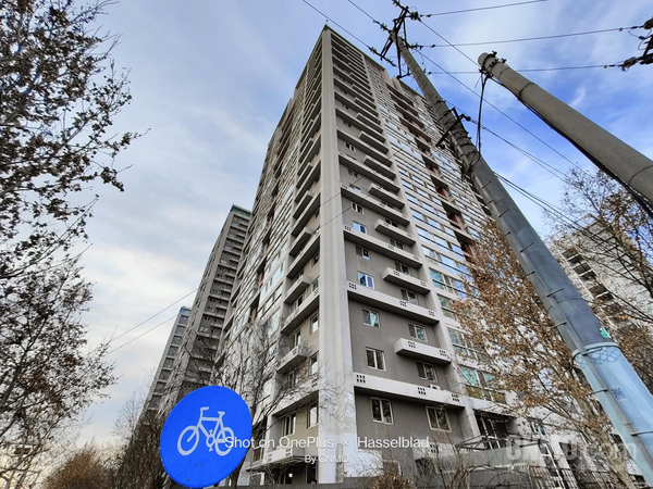 一加 10 Pro:大师影像只用样张彰显实力 一加 10 Pro:大师影像只用样张彰显实力