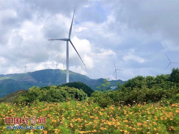 “碳”索之路，如何实现“先破后立”？