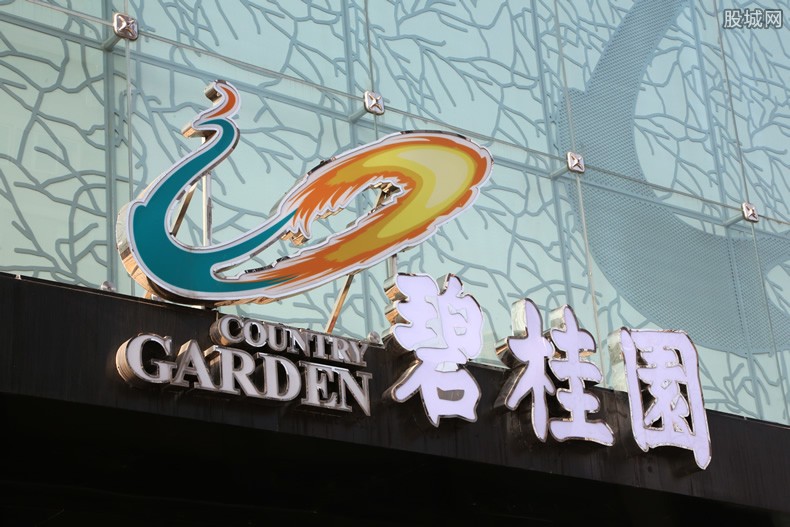 碧桂园大涨